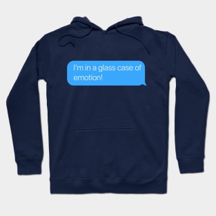 Glass Case of Emotion Hoodie